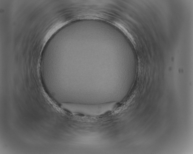 X0000087370901200705181213