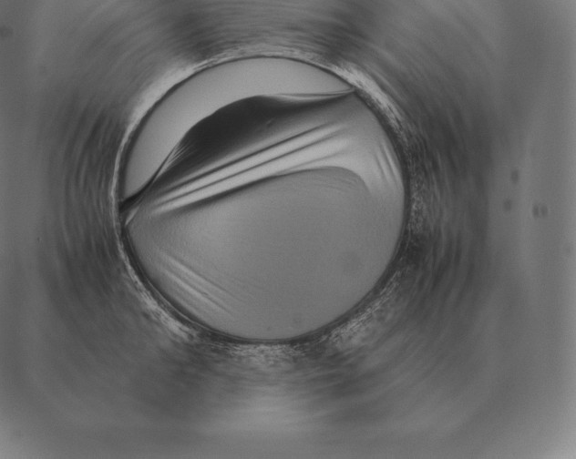 X0000087370902200705181213