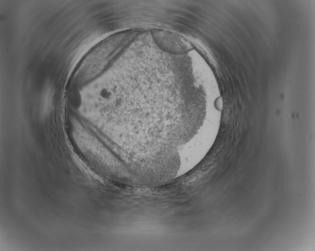 X0000087370903200705181213