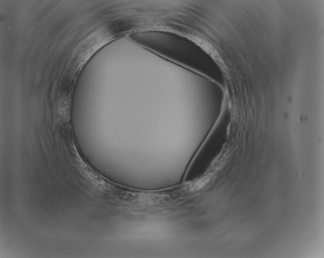 X0000087370905200705181213