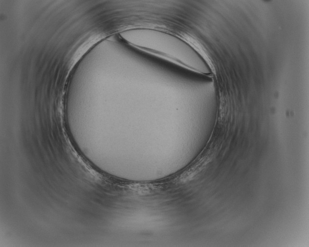 X0000087370906200705181213