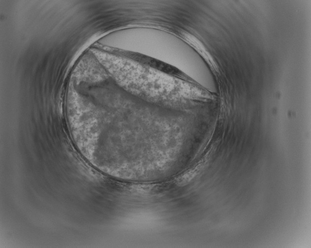 X0000087370908200705181213