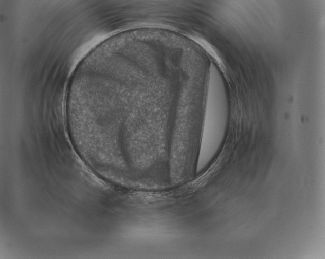 X0000087370910200705181213