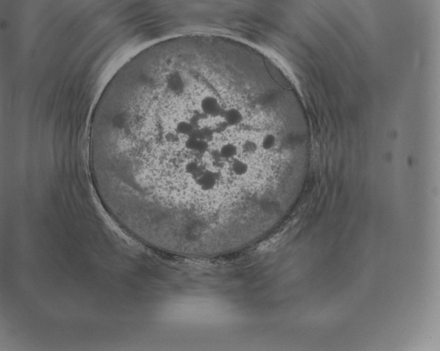 X0000087370911200705181213