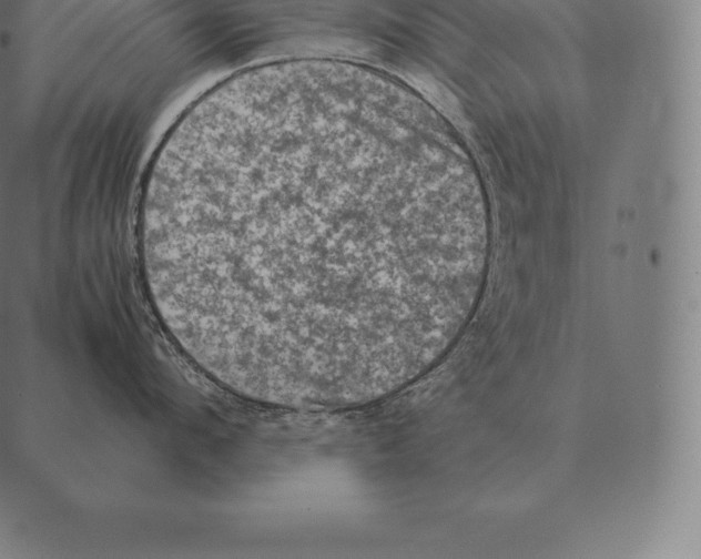 X0000087370912200705181213