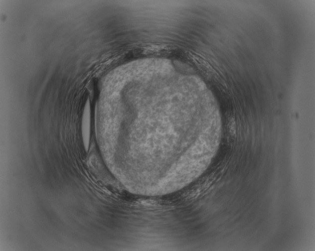 X0000087370914200705181212