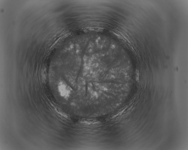 X0000087370915200705181213