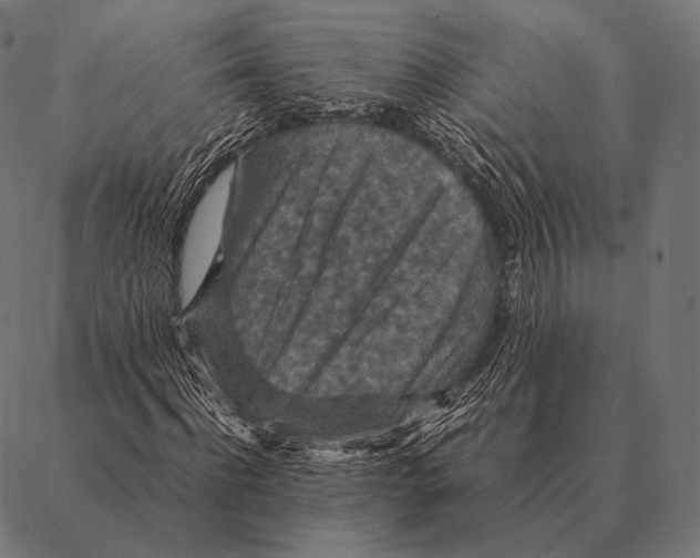 X0000087370916200705181213