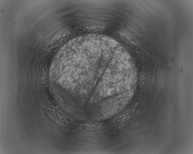 X0000087370917200705181213