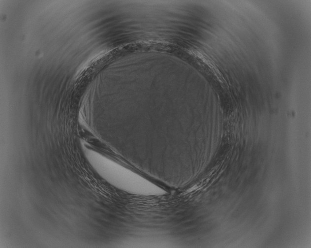 X0000087370919200705181213