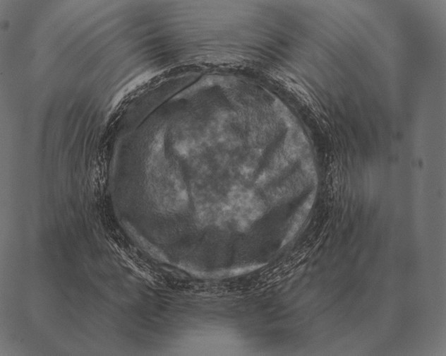 X0000087370920200705181213