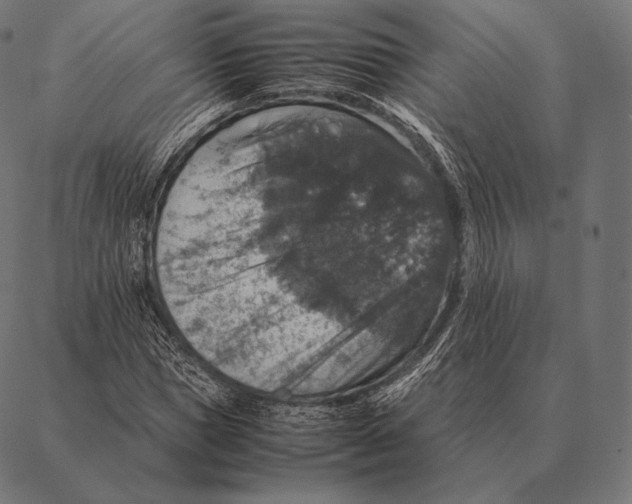 X0000087370921200705181213