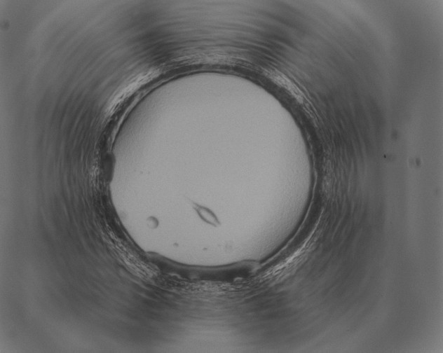 X0000087370922200705181213