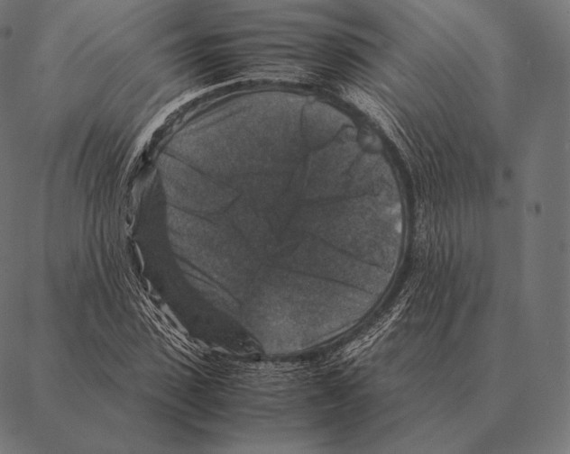 X0000087370923200705181213