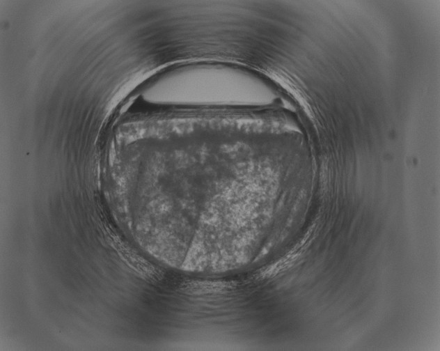 X0000087370925200705181213