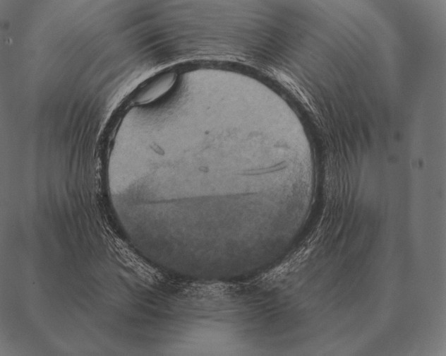 X0000087370926200705181213