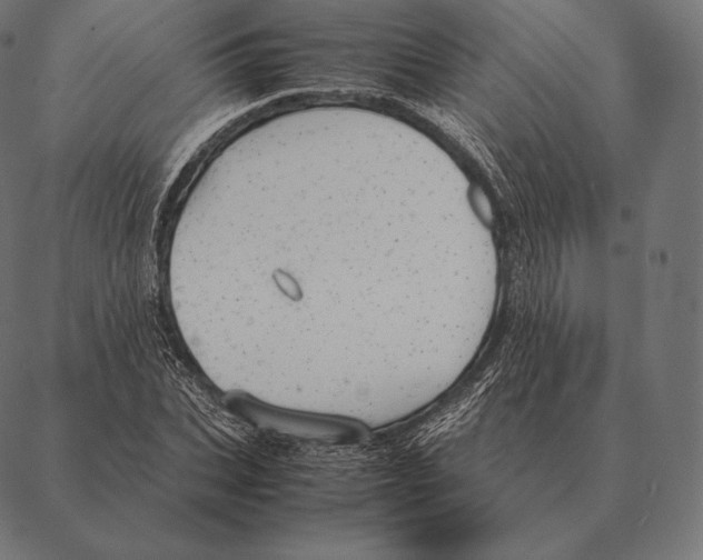 X0000087370927200705181213