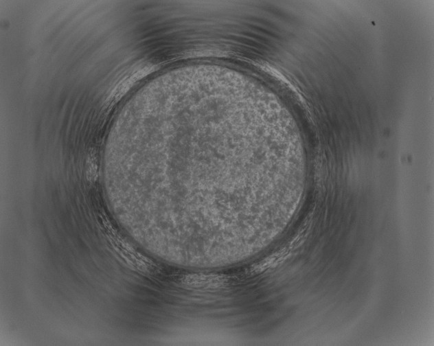 X0000087370929200705181213