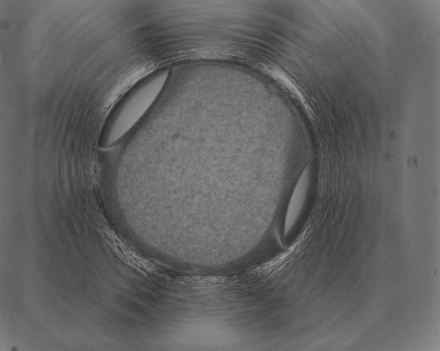 X0000087370930200705181213