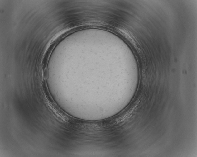 X0000087370931200705181213