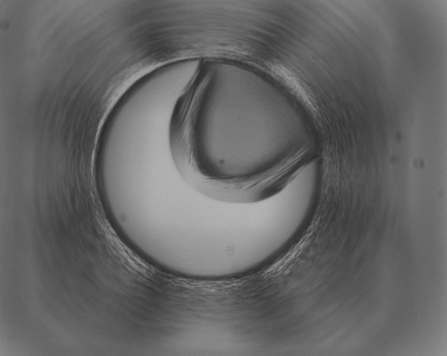 X0000087370932200705181213