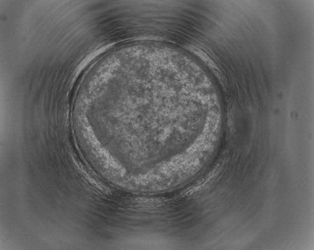 X0000087370933200705181213