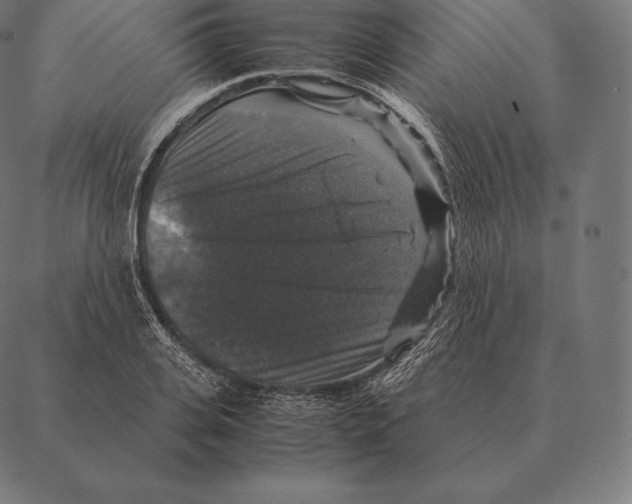 X0000087370935200705181213