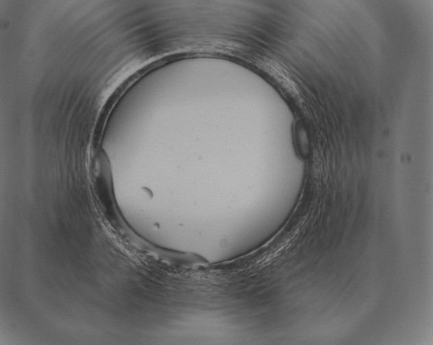 X0000087370936200705181213