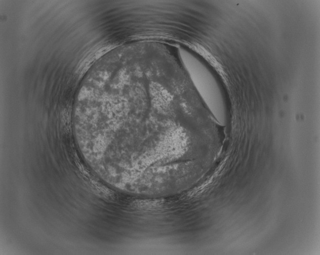 X0000087370937200705181213