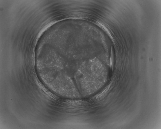 X0000087370939200705181213