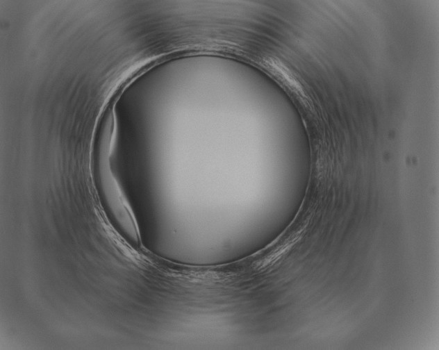 X0000087370940200705181213