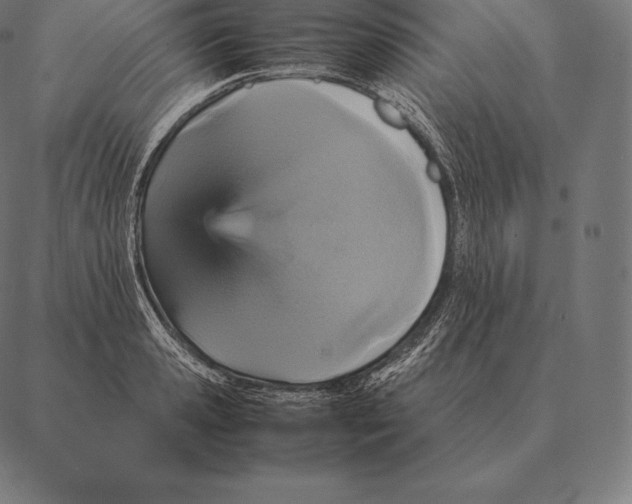 X0000087370941200705181213