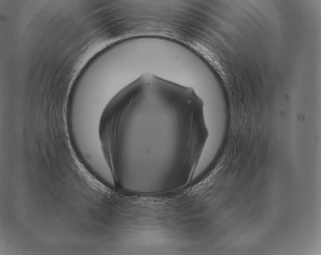 X0000087370942200705181213