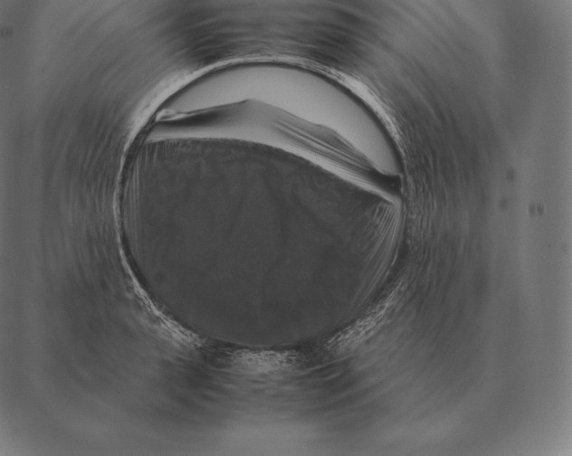 X0000087370943200705181213