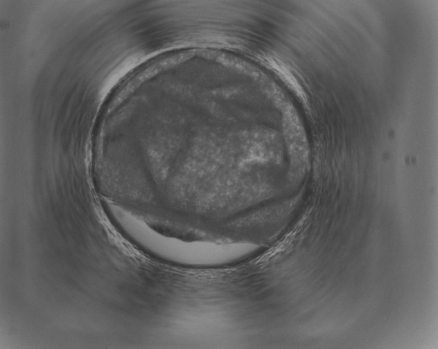 X0000087370944200705181213