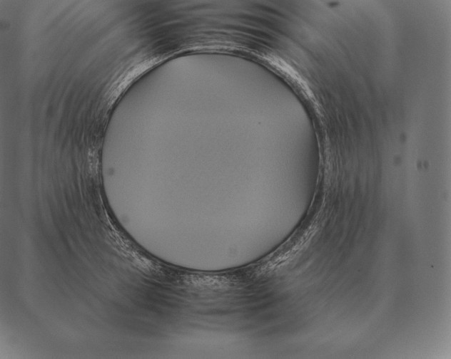 X0000087370945200705181213