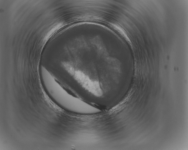 X0000087370946200705181213