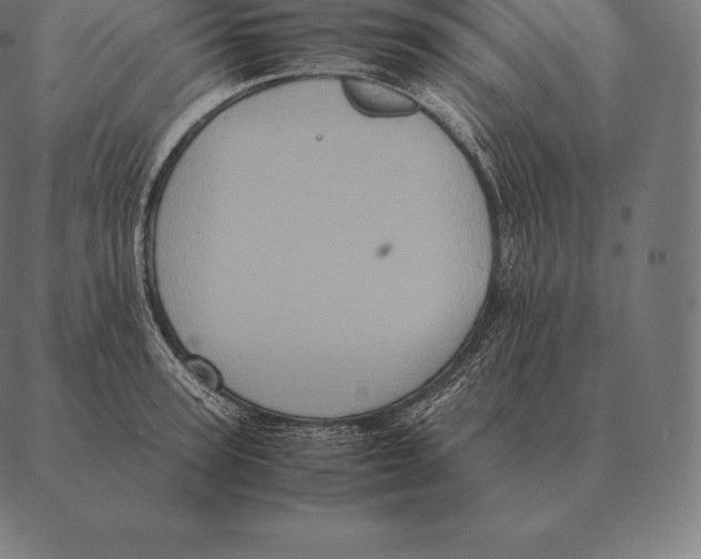 X0000087370947200705181213