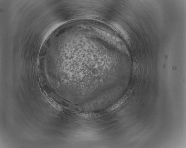 X0000087370948200705181213