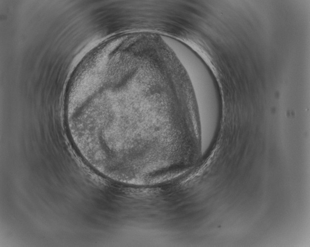 X0000087370949200705181213