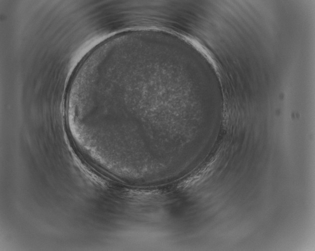 X0000087370951200705181213