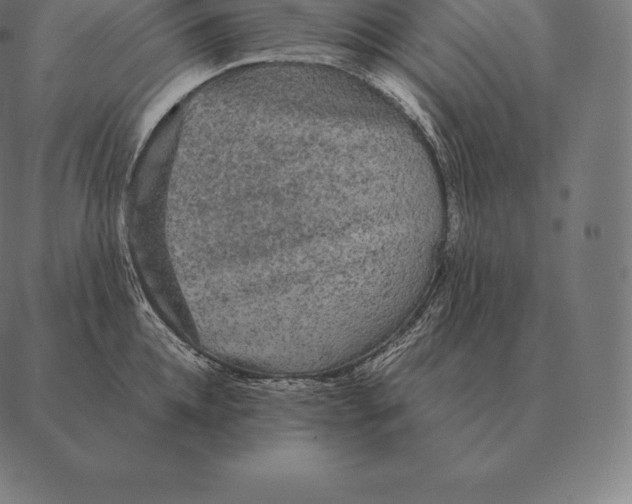 X0000087370952200705181213