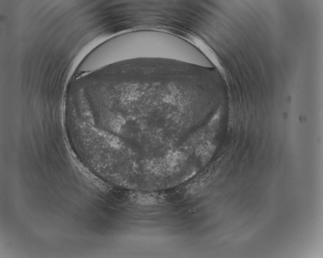 X0000087370955200705181213