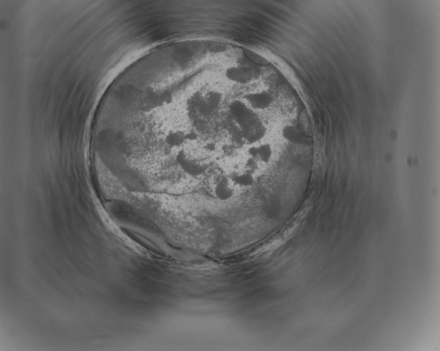 X0000087370957200705181213