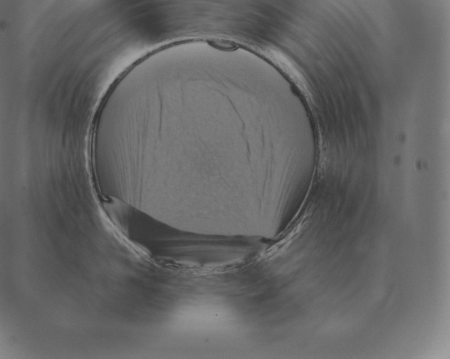 X0000087370958200705181213