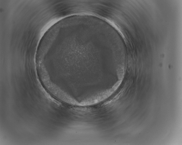 X0000087370959200705181213