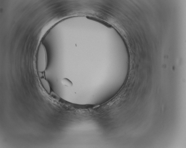 X0000087370960200705181213