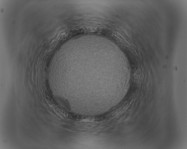 X0000087370961200705181212