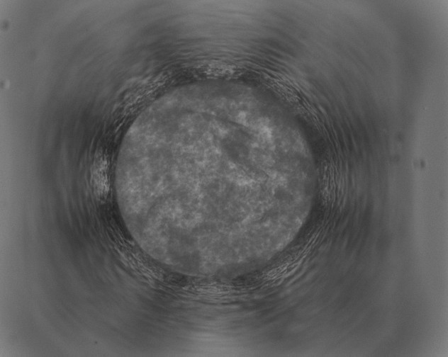 X0000087370962200705181212