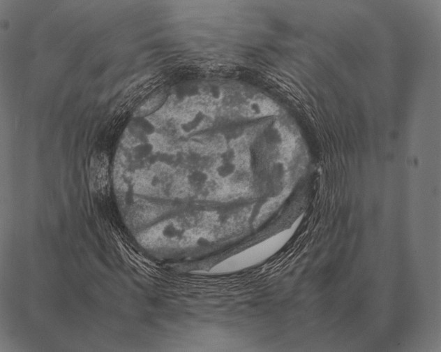 X0000087370963200705181212